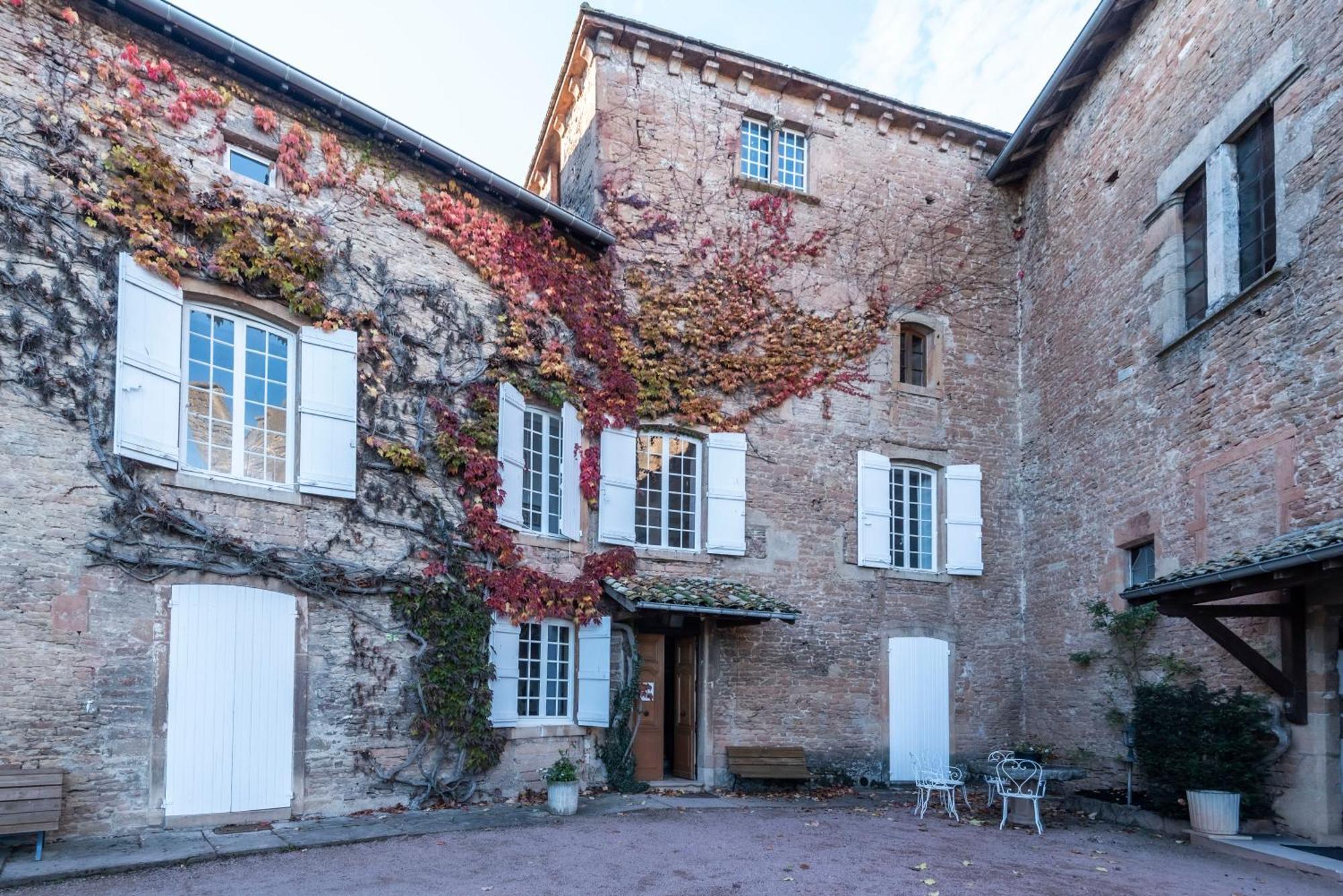 Chateau De Salornay Hurigny Zewnętrze zdjęcie